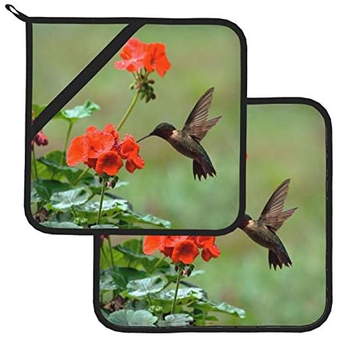 Pot Holders Set of 2, Hummingbirds Birds Spring Summer Red Flowers Blossom Heat Resistant Kitchen Non Slip Printed Cooking Barbecue Baking Microwave Cover