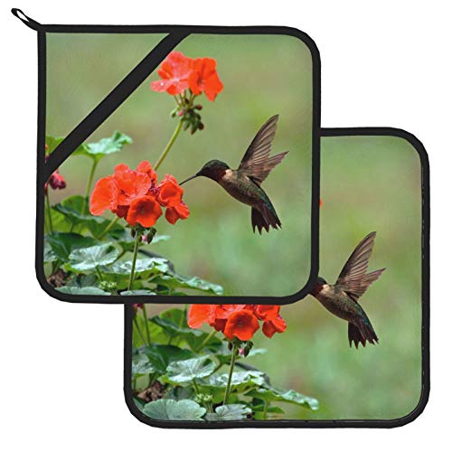 Pot Holders Set Of 2, Hummingbirds Birds Spring Summer Red Flowers Blossom Heat Resistant Kitchen Non Slip Printed Cooking Barbecue Baking Microwave #TOP5