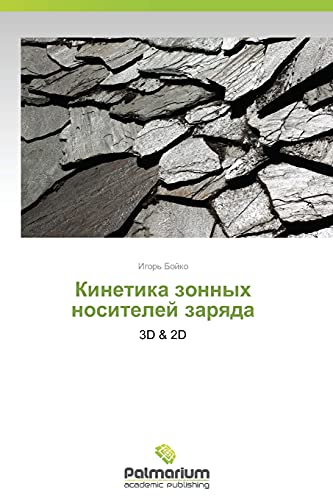 Kinetika Zonnykh Nositeley Zaryada Paperback – Import, 6 May 2014