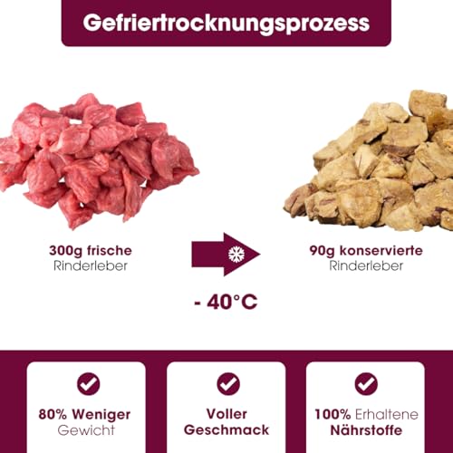 KAUDAS RinderleberPur Natursnack – 2 x 90 g gefriergetrocknetes Rinderleber Leckerli Hund mit hohem Proteingehalt, 100% natürlicher Hundesnack 450g Rohgewicht – ohne Zucker, Getreide & Zusatzstoffe