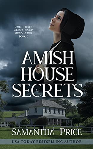 Amish House of Secrets: Romantic Suspense Novella (Amish Secret Widows' Society Book 5)