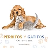 Libros Cúpula