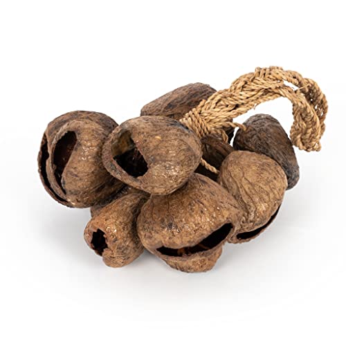 Stringed seed shaker, Wood - Image 2