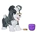 Price comparison product image furReal Ricky, the Trick-Lovin Interactive Plush Pet Toy