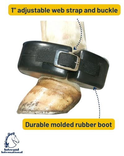 Image of Intrepid International Shoe Boil Boots