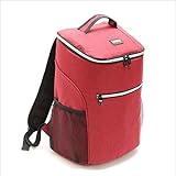  CHNG 20L Picnic Mochila Thermo Bolsa De Almuerzo Frigorífico Nevera Sra. Niño Bolsa De Aislamiento Bolsa De Almuerzo Oxford Paño Impermeable Bolsa De Hielo,Red