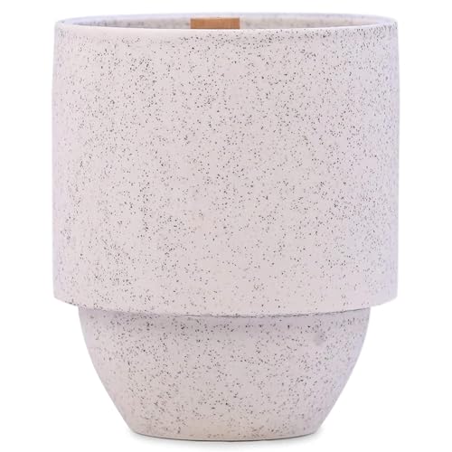 Paddywax Parks, Glacier Scented Candle in Reusable Ceramic Jar with Crackling Wood Wick, Soy Candle with Approx. 77 Hour Burn Time, Decorative Gift Candles for Home, White Pine & Hemlock Scent, 11 oz