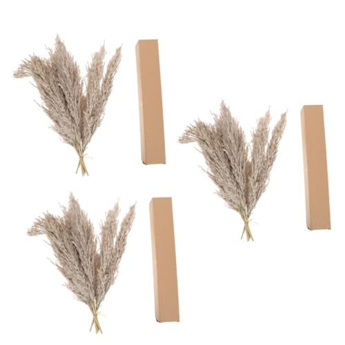 Ramo de Flores Secas Natural Alipis 3 Sets para Decoración miniatura 6