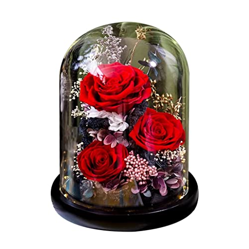 vU[uht[ o Mtg ͂Ȃ KXh[ v[g  uU[h t[ hCt[ P[X Mtg{bNX KN AW bsOς bZ[WJ[h ỉ LO v[g Ȃ җj  j 