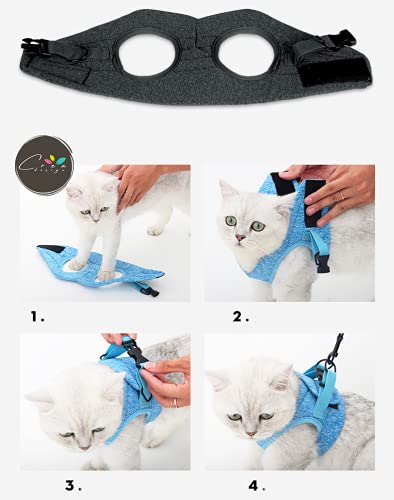 Crea CLEA - Pettorina per gatti ultra leggera e confortevole,con guinzaglio. (M, Rosso)