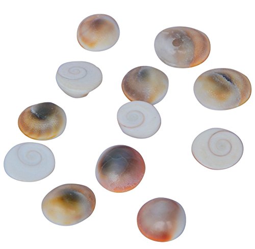 Gomti Chakra Special 21 Pieces Pack for Wealth,Health,Success & Worship by Dimraj Creations