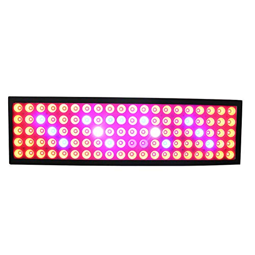 LED Grow Light 300W Chips Wachsen Pflanzenlampe mit Rot Blau für Indoor Grow Box Gewächshaus Pflanze Gemüse Blumenwachstum