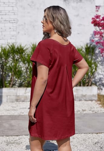 Image of Alaster Women's Casual Summer T Shirt Dress Loose Short Sleeve Tunic Dress with Pocket for Women