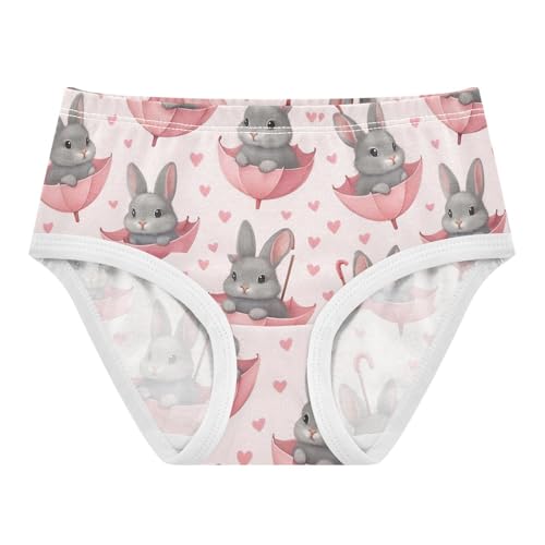 Joisal Durable Toddlers Underwear Floral 2t Cotton Little Girl Panties Cute Gray Bunnies Pastel Pink Briefs Girls Undies