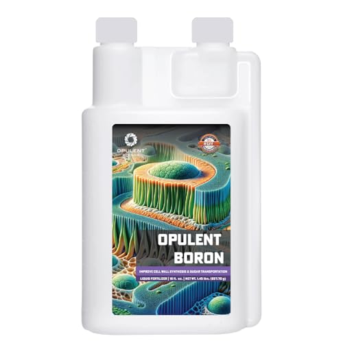 Opulent Boron Liquid