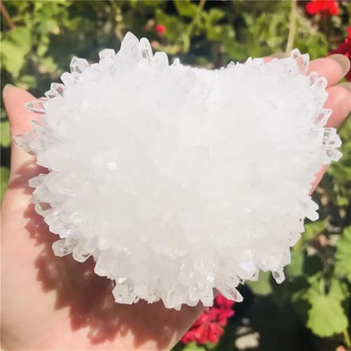 Cluster de quartz cristal de roche premium, pierre droite de collection pour décoration 600g - 4