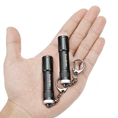 EverBrite 2 Pack Keychain LED Flashlight Mini Bright Keyring Portable Pocket Lights IPX4 Water Resistant AAA Battery Included, Black, 3.1 Inch