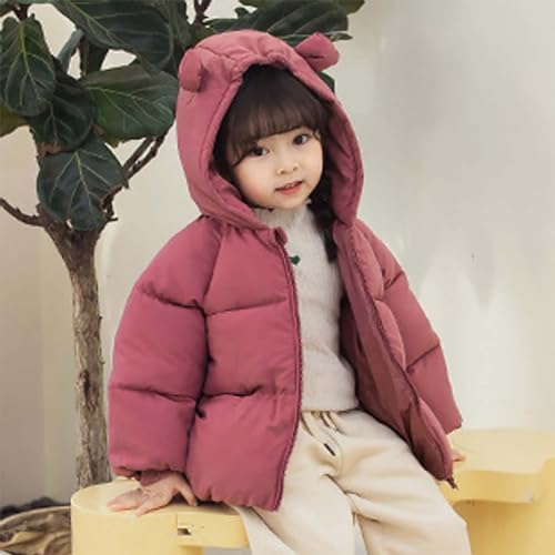 Baby Girl Boy Winter Coats Thicken Hoodie Down Padded Jacket Coat Outwear Windproof Snowsuit Clothing3