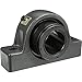 Sealmaster USRB5000AE-315, Two Bolt Pillow Block Roller Bearing, 3.9375"