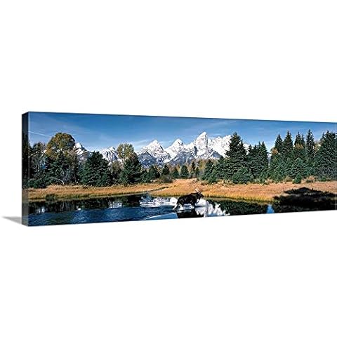 CANVAS ON DEMAND Moose & Beaver Pond Grand Teton National Park Wy Canvas Wall Art Print, Home Decor, Wildlife, United States Artwork, 60"x20" Cover