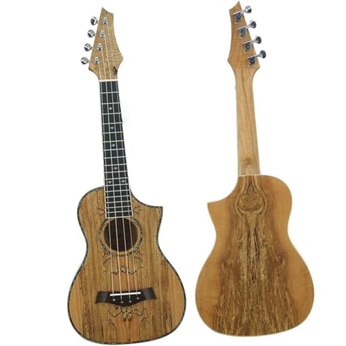 Cv EN RT[g 23 C` EN M^[ EN ENZbg