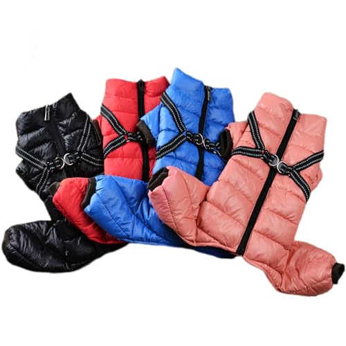 JPETTO _E p[X ^ ^  Ȃ _ER[g ̕ V Xm[EFA hbOEFA p[J[ ~ ybg L _EWPbg N L _ExXg g h q gCv[h ` U 2