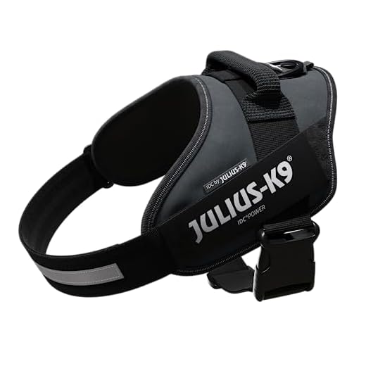 Julius-K9, Arnés IDC Power, Tamaño: L / 1, Antracita