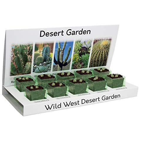 Cactus Kit. Grow Your Own at Home Kit Cover