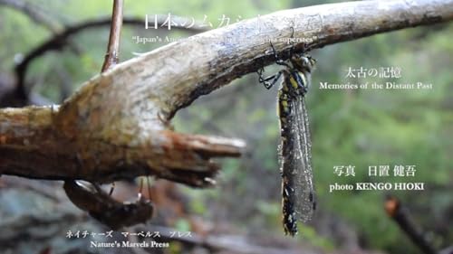 NIHONNOMUKASITONBO: Memories of the Distant Past (Neichaazu Maaberasu Puresu) (Japanese Edition)