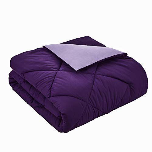 Seward Park Solid Color Reversible Comforter, Hypoallergenic Plush Microfiber Fill, Duvet Insert or Stand-Alone Spring or Summer Comforter for Dorm, Lightweight, Twin Extra Long, Plum/Purple