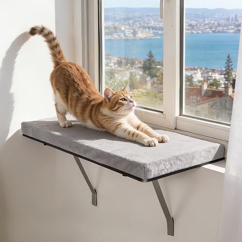 Katzen Fensterliege Zvonema Stabiles Katzenbett Fensterbank mit Metallbefestigung 61 x 30 cm Große Hängematte Katze bis 15kg Weicher Grauer Plüsch Abnehmbar & Waschbar (Schwingungsgedämpft)