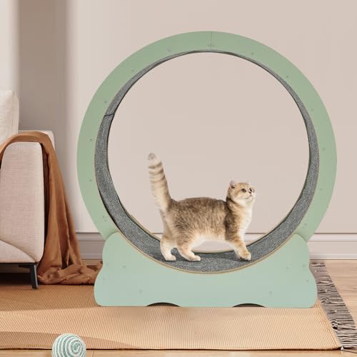 Cat Exercise Wheel Large Cat Running Wheel 40 Inch Indoor Treadmill Exerciser with Pedometer Toys Equipment for Pet Fitness (Green)