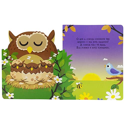 Olhinhos Arregalados:Que a Coruja consegue...