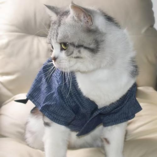 ybg    L lR ˂ 䂩 ybg hbOEFA Ղ čՂ ԉΑ ^ ^ ˂ ʂ  r o a bOEFA  LOBe (2XL,A)
