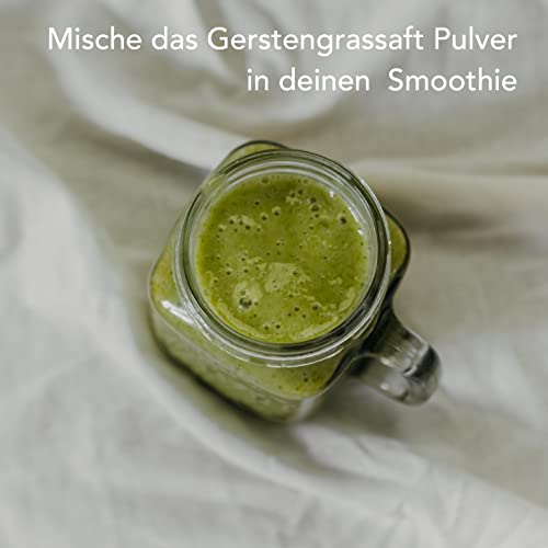 Zumo de Hierba de Cebada Ecológico en Polvo | Barley Grass Juice Powder (400 g) - Imagen 3