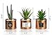 Opps Mini Artificial Plants Plastic Green Grass Cactus with Special Golden Can Pot Design for Home Décor – Set of 3