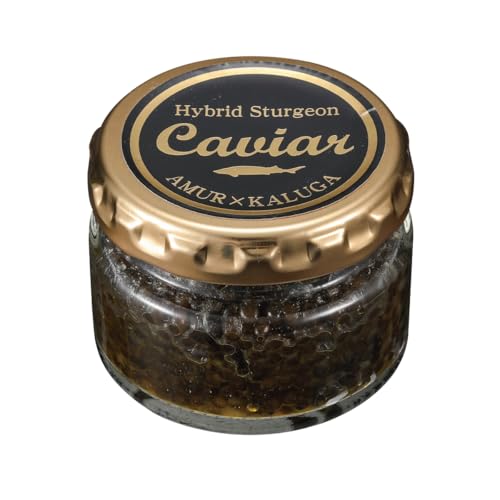 [①] KTt[hR[fBl[V Ɩp nCubgLrA(ME) 50g