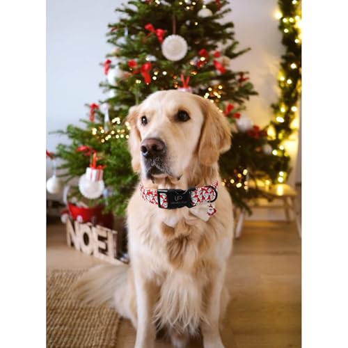 Image of Christmas Santa Pattern Dog Collar - Adjustable and Durable Xmas Pet Accessory for Festive - Cute Santa Claus Dog Collars for Girl Boy Dogs L