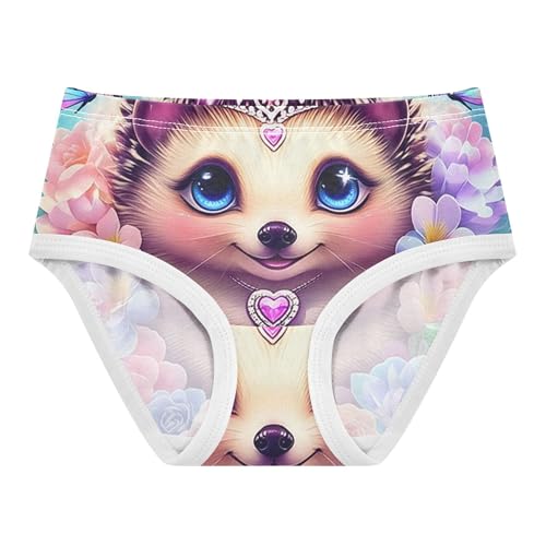 Toddlers Underwear Floral 2t Cotton Panties for Girl Cartoon Briefs Underpants Cute Hedgehog Blue Floral