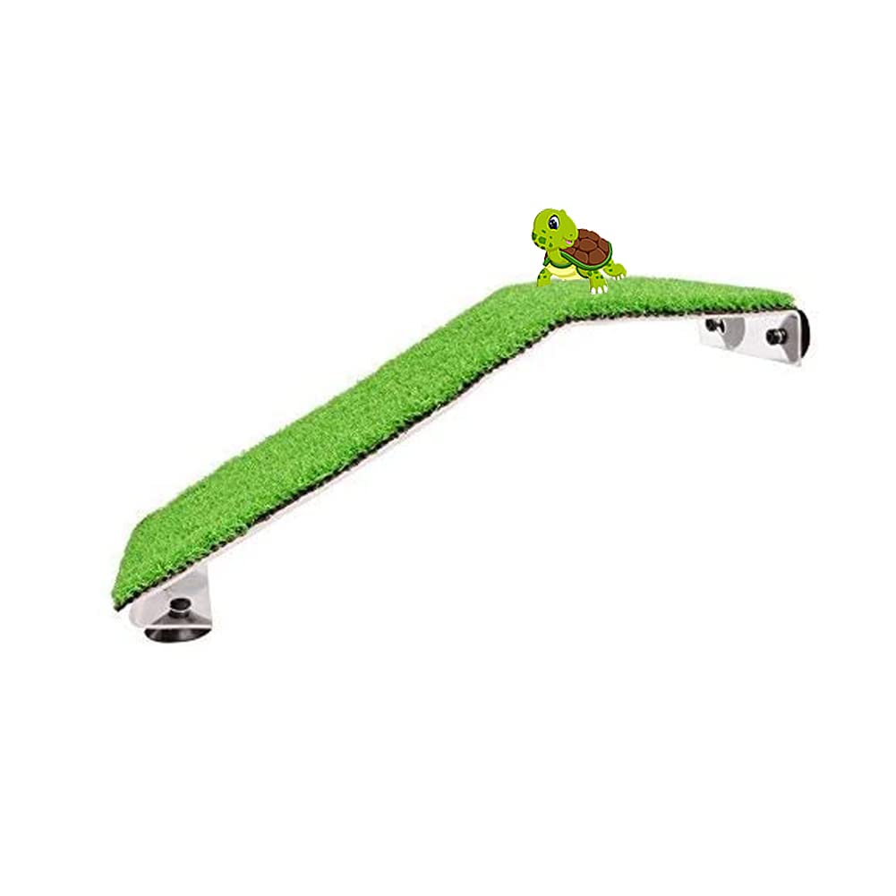 Piattaforma per tartarughe, tartaruga, arrampicata, prato, terrazza, erba finta rampa per tartarughe, granchi, rettili