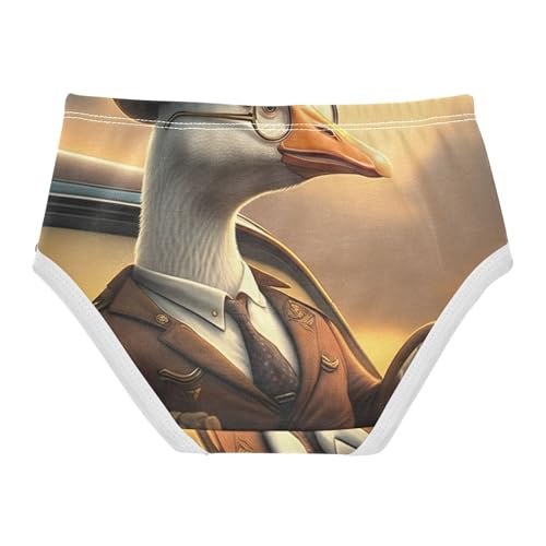 Toddler Underwear Custom 2t Cotton Panties Little Girl Flower Kids Briefs Undies Funny Geese2