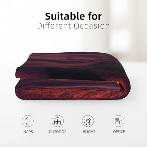 Plaid lit flanelle douce anti-frissons couverture chaude dauphin