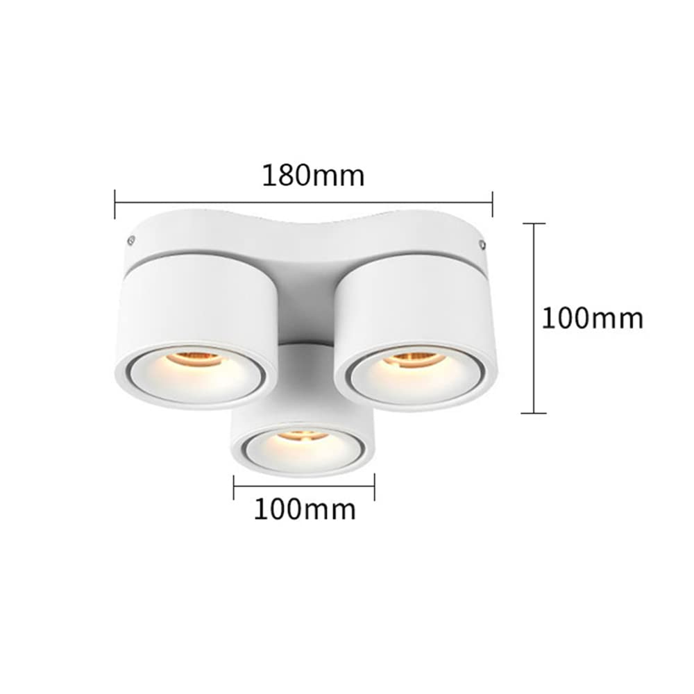 SKYGOO Foco de techo LED de 30 W, lámpara de luz de pasillo ajustable, luz de sala de estar de baño, foco de montaje en superficie de tres cabezas, luz de pasillo de dormitorio, luces de centro comerc