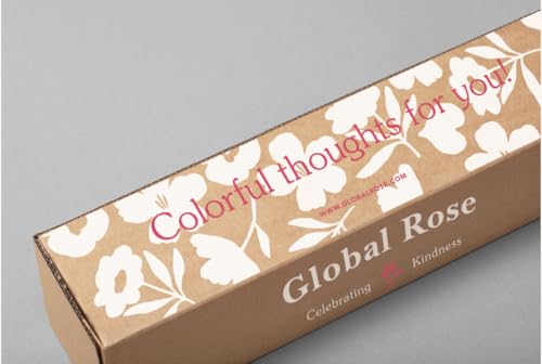 Globalrose 50-WHITE-ROSES-SHORT Roses- 50 Fresh Cut Flowers thumb #5