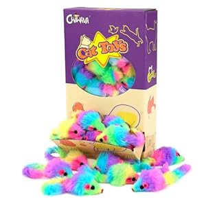 Chiwava 36 STK Regenbogenfarbene Katzenspielzeug Mäuse