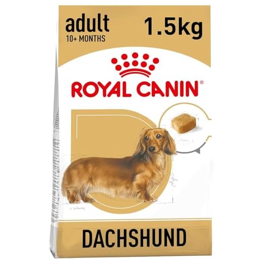 Royal Canin Dachshund Adult Dry Food