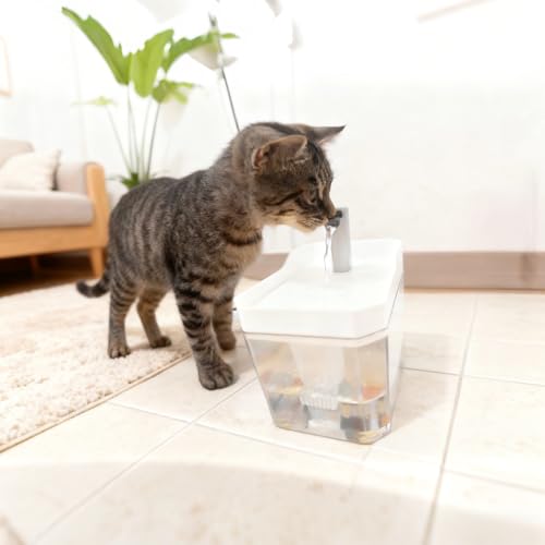 Fuente de agua para mascotas 1.5 L con filtro miniatura 2