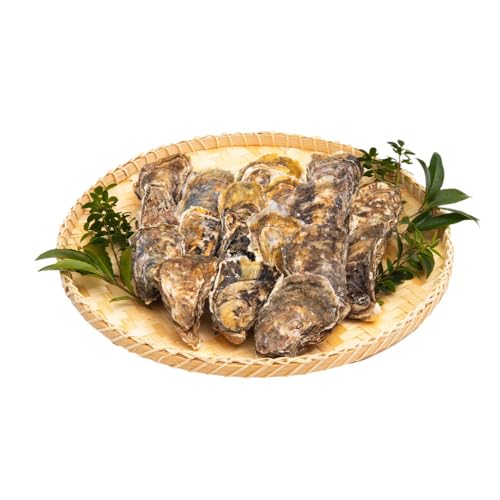 厚岸産 殻牡蠣 Lサイズ 20個 セットカキ 牡蠣 魚介類 新鮮 濃厚 大粒 マルえもん メルマガ掲載商品2
