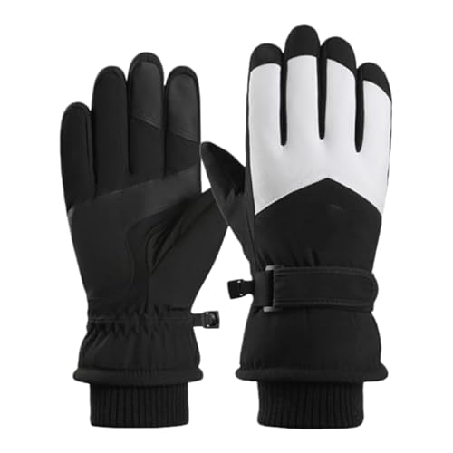 �k������������5�{�w�^�b�`�R���g���[���A�ϖ��Ր��A���j�Z�b�N�X�A�X�L�[�A�X�m�[�{�[�h�A�o�R�A��V�сA�ʋ΂ɓK�����A�h�����ƕۉ������������܂ł� (�����Y ���E���h���S - �u���b�N + �z���C�g)