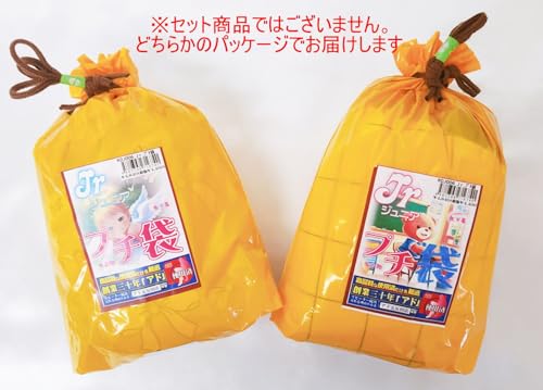 中古 ジュニア 衣類 私服 ジュニア プチ袋 下着セット ジュニア 詰め合わせ (使用済み加工品下着) - 画像4